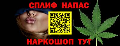 СК Заводоуковск