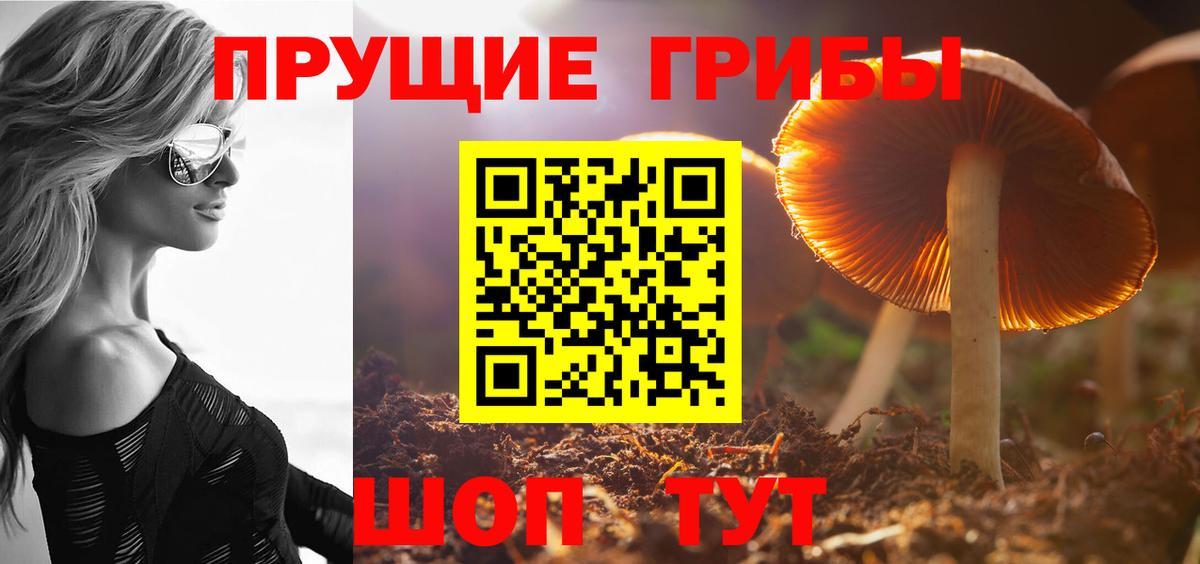 Галлюциногенные грибы Magic Shrooms  Вход с VPN  купить наркоту  Гусь-Хрустальный  Псилоцибиновые грибы Psilocybine cubensis 